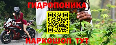 альфа пвп Ачхой-Мартан